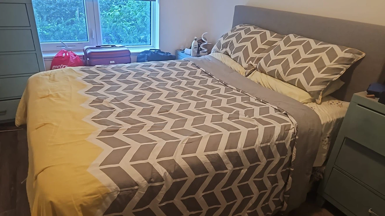 Wayfair Bed