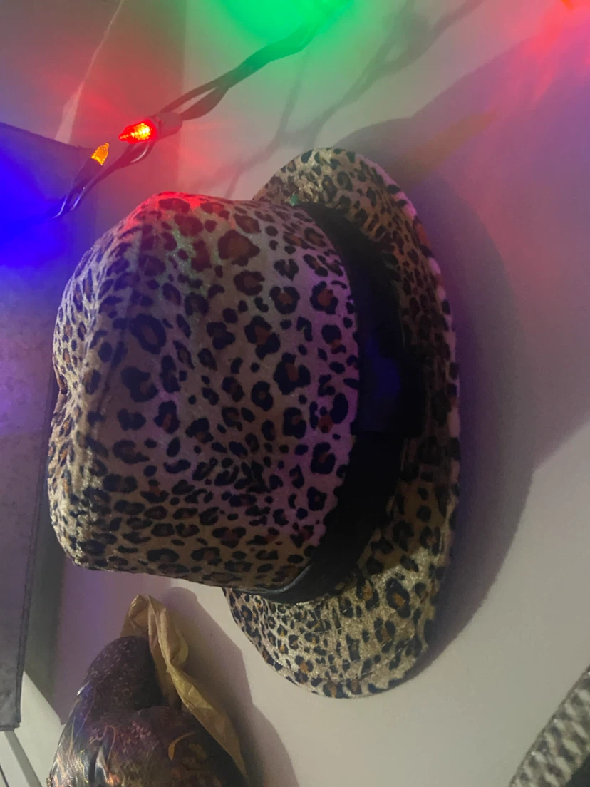 Assorted Fedora Style Hats