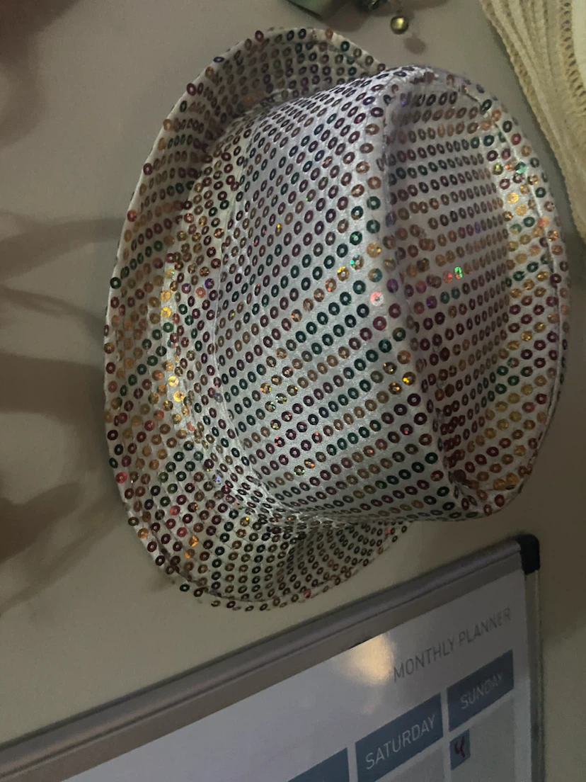 Assorted Fedora Style Hats - photo 3