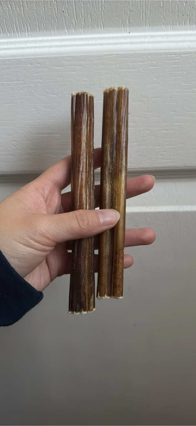2 New Bully Sticks Dog Treat