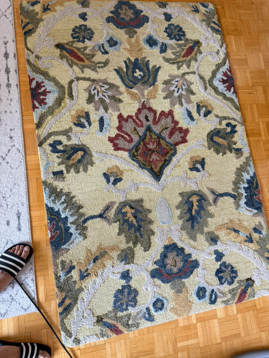 Safavieh 100% Wool Area Rug (4' x 6') – Gold / Multi Floral