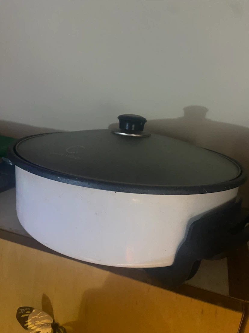 Living Basics Electric Skillet