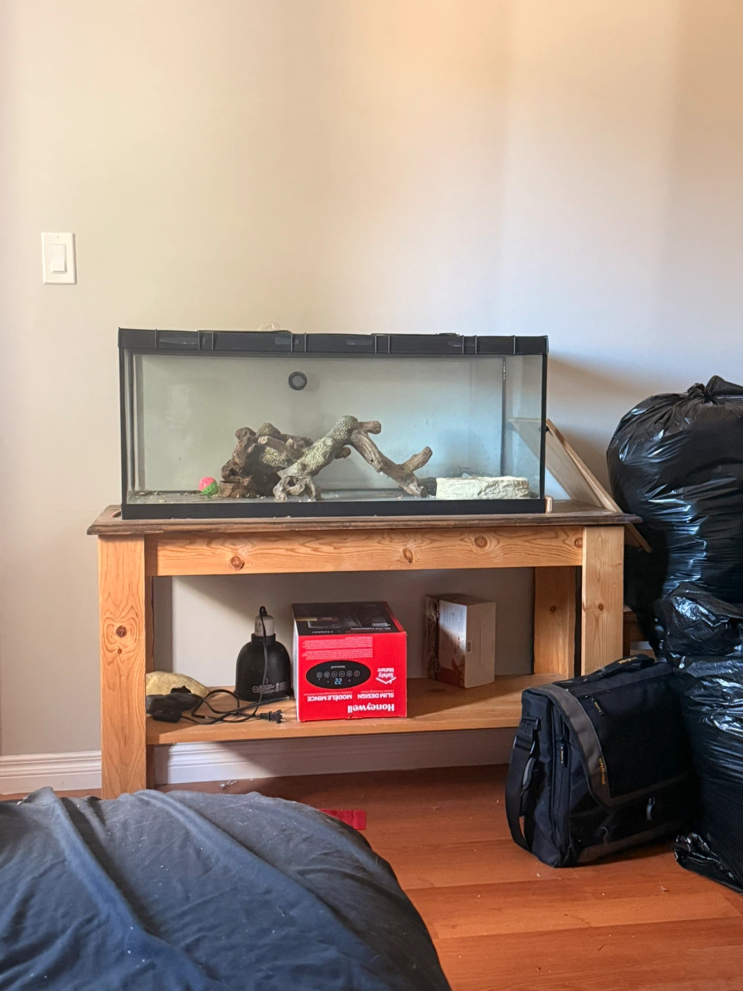 Glass reptile terrarium with accessories