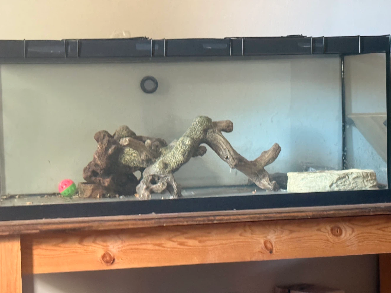 Glass reptile terrarium with accessories - photo 2