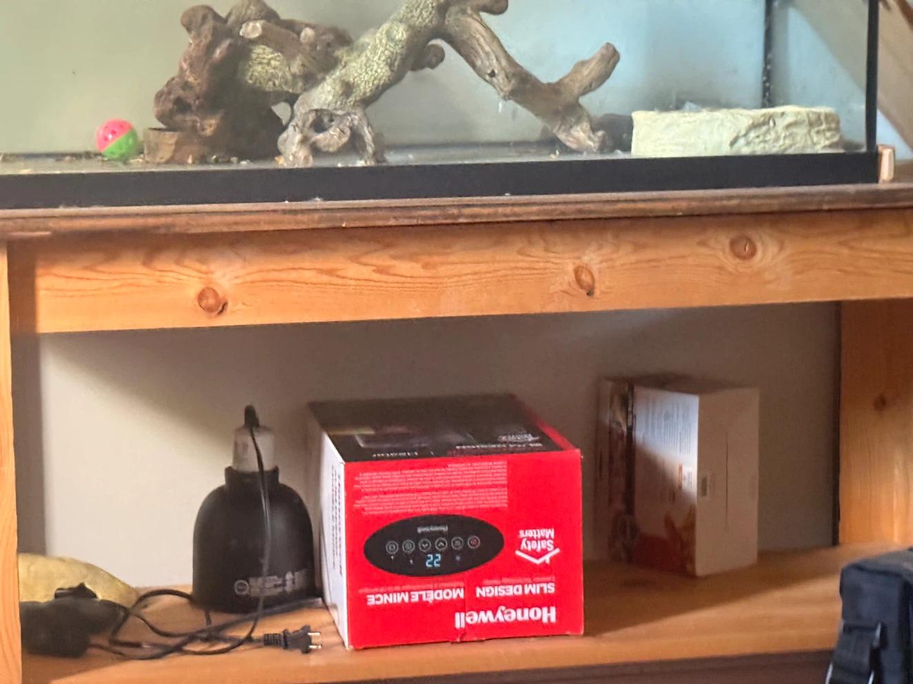 Glass reptile terrarium with accessories - photo 3