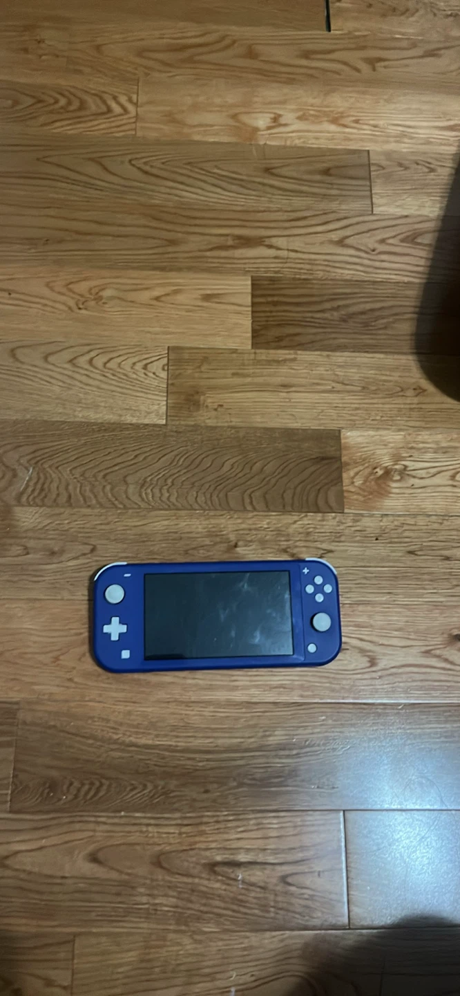Nintendo switch lite