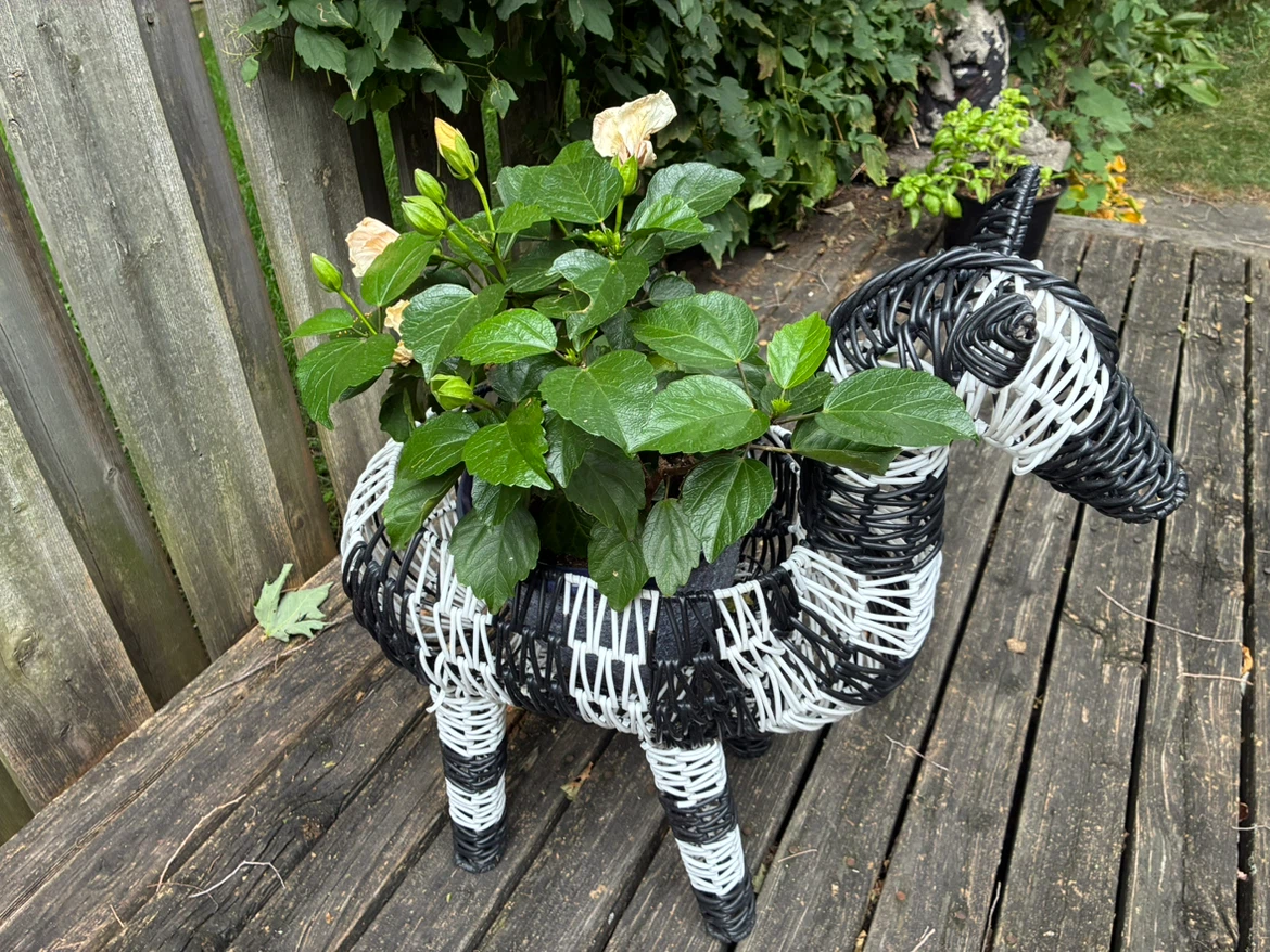 Fun large black-and-white woven horse / zebra basket. - photo 2