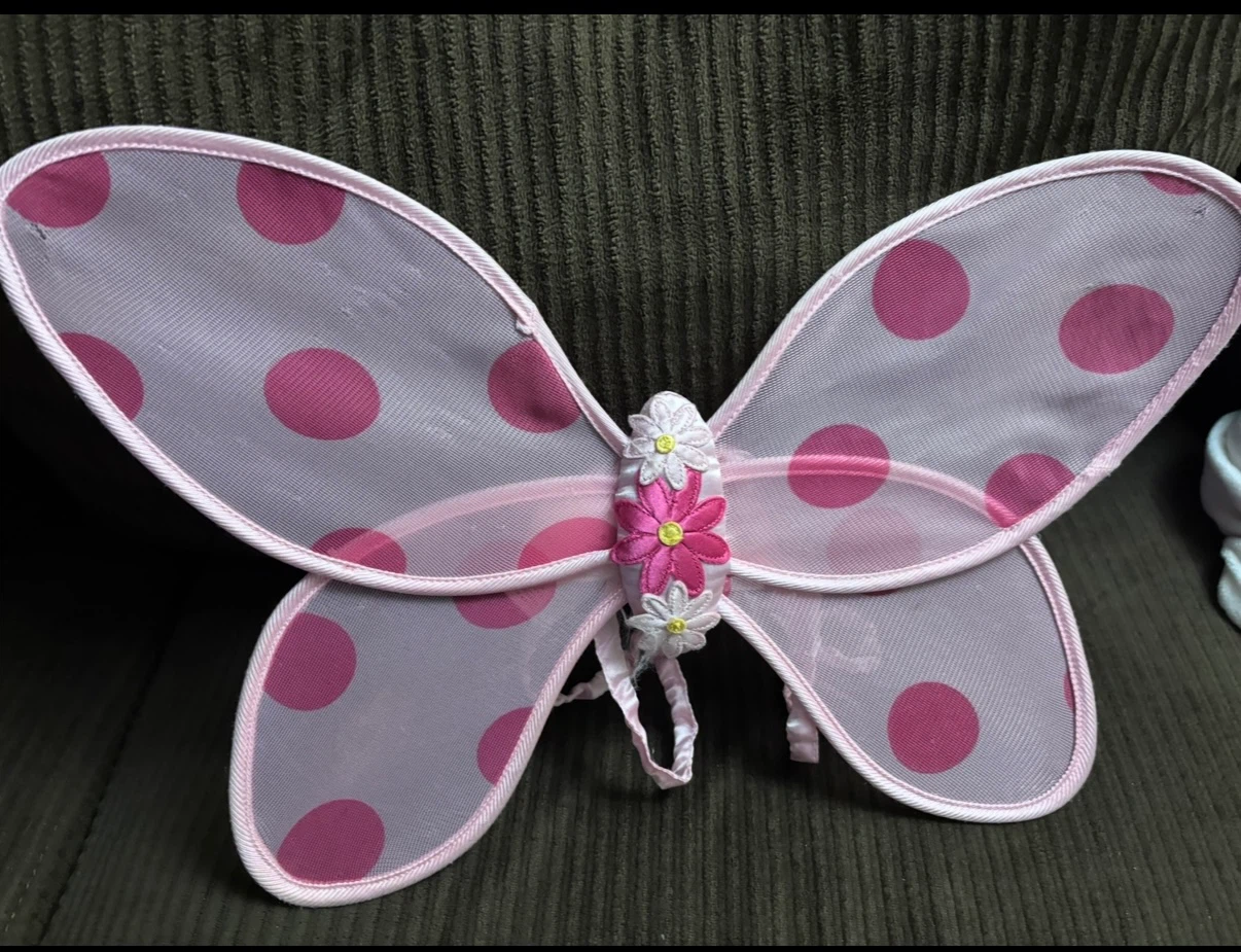 Old Navy Kids Butterfly Wings ~ Size 3T/4T