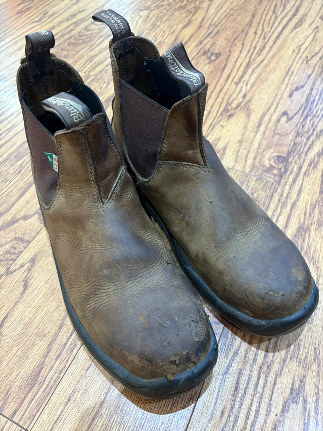 Safety Blundstone Boots aus 12 usa13