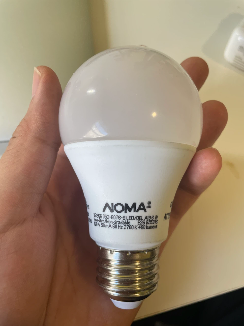 NOMA A19 LED Light Bulb