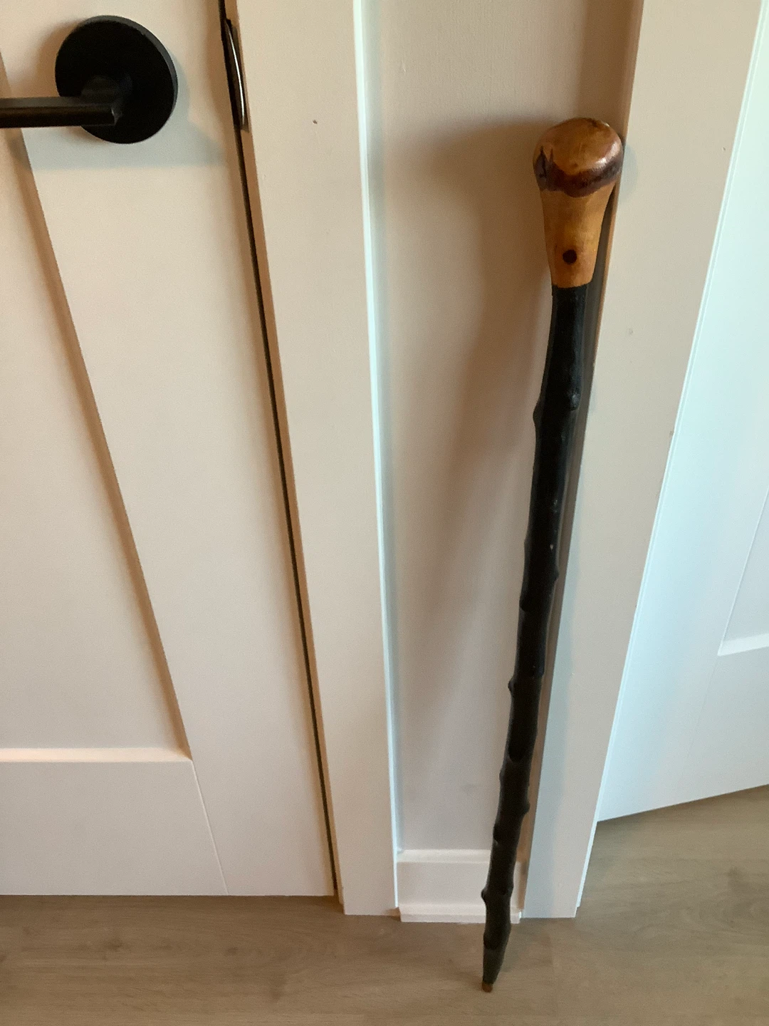 Hand Crafted & Hand Painted Walking Stick 🐞