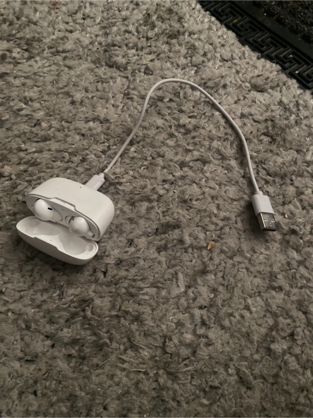 Apple AirPods with Charging Case