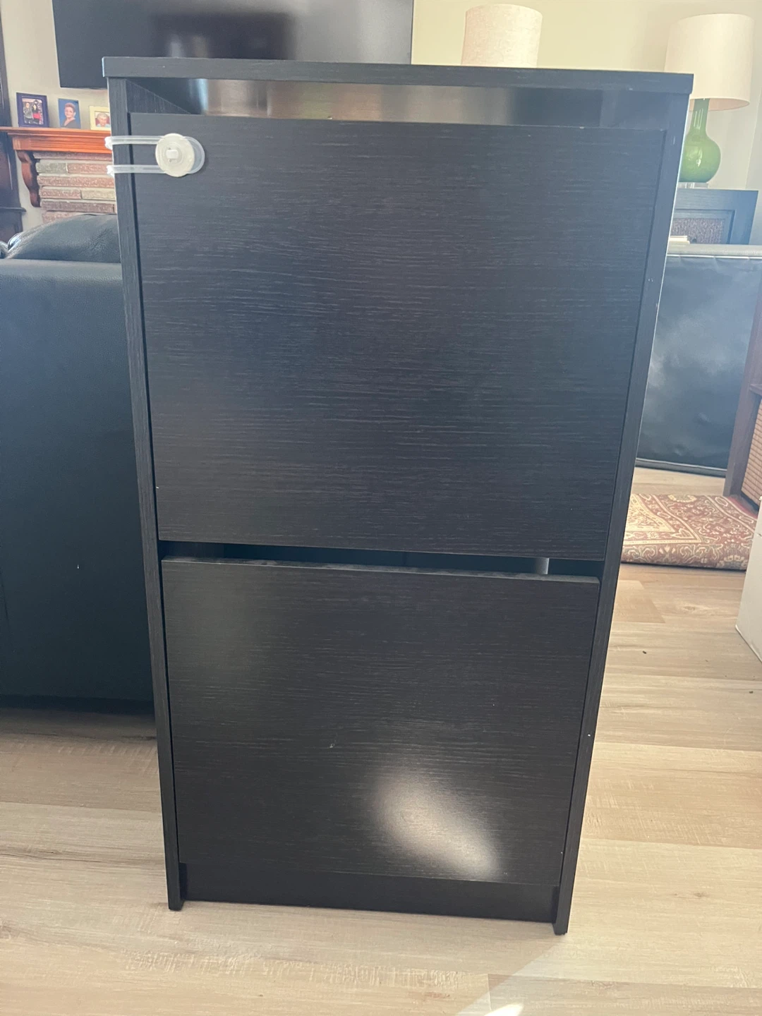 Dark Wood Shoe Cabinet