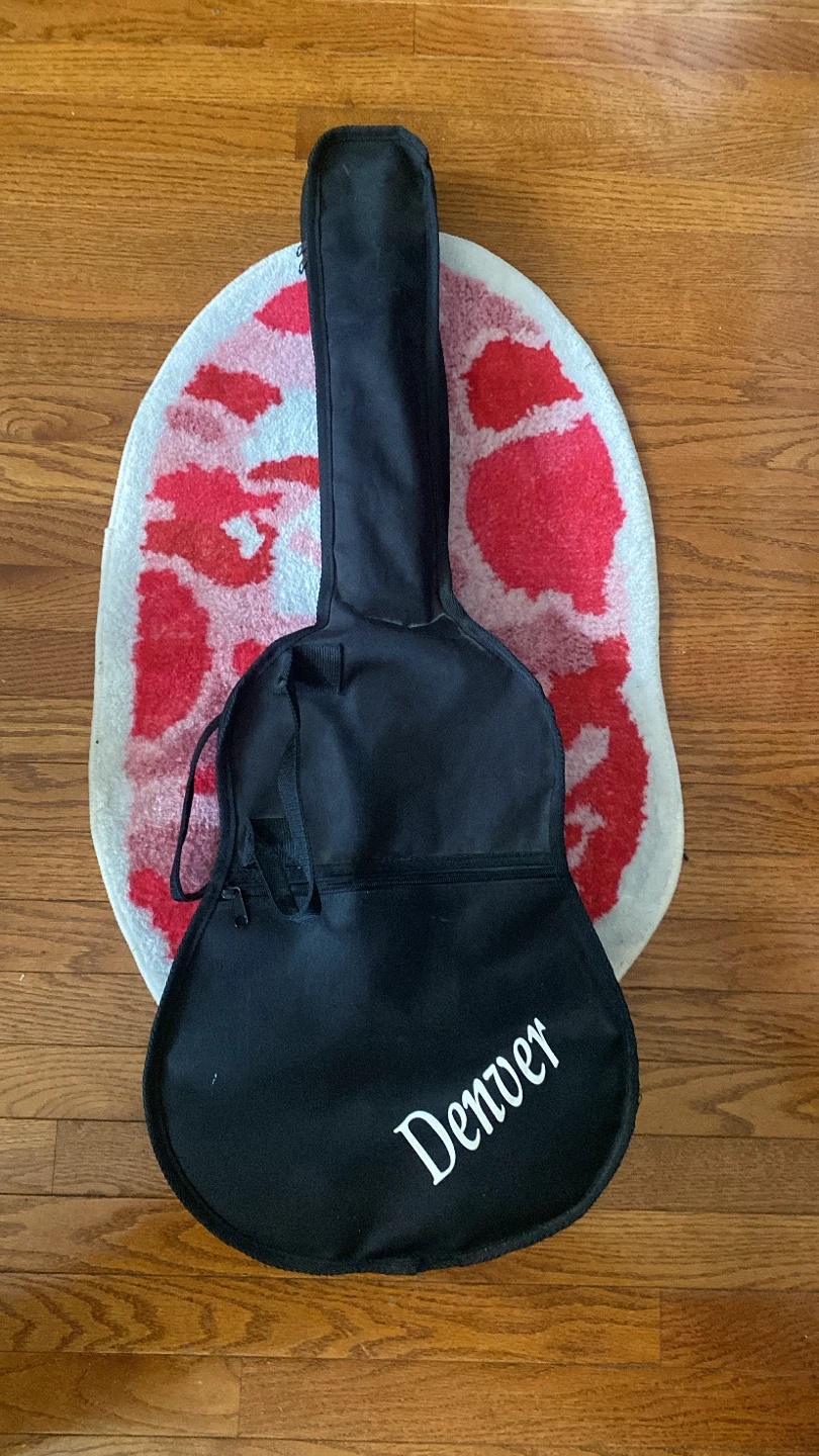 Denver Acoustic Guitar with Gig Bag
