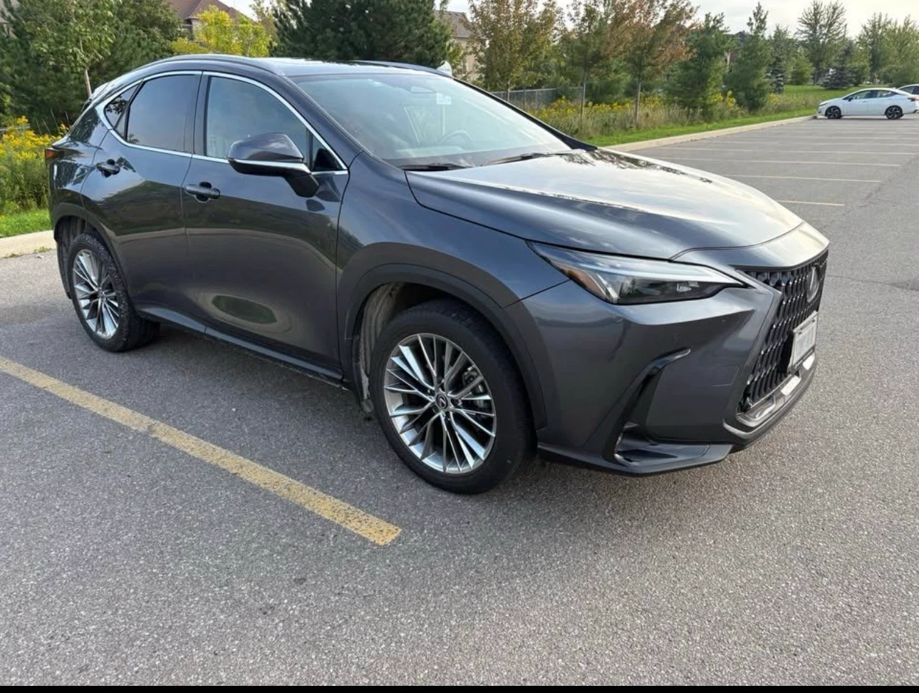 LAST CHANCE Lexus NX350 AWD SUV - photo 5