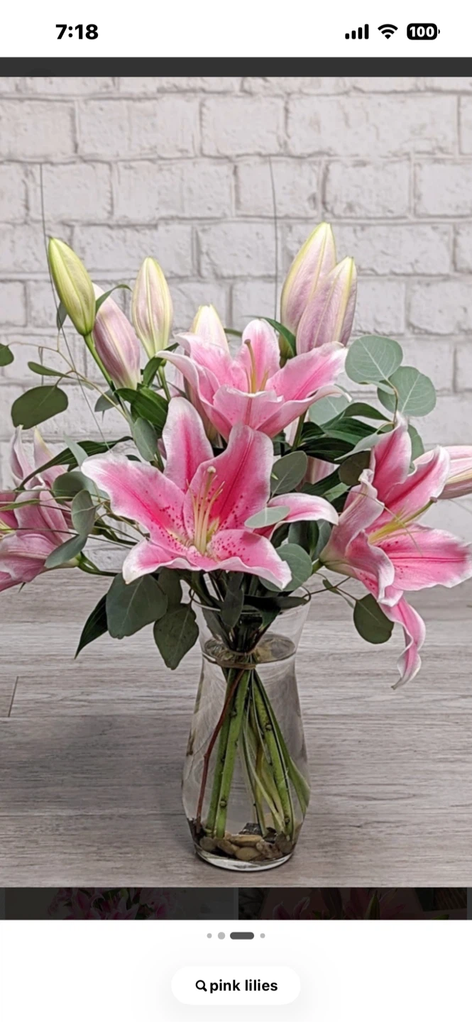 Free Pink Lillies