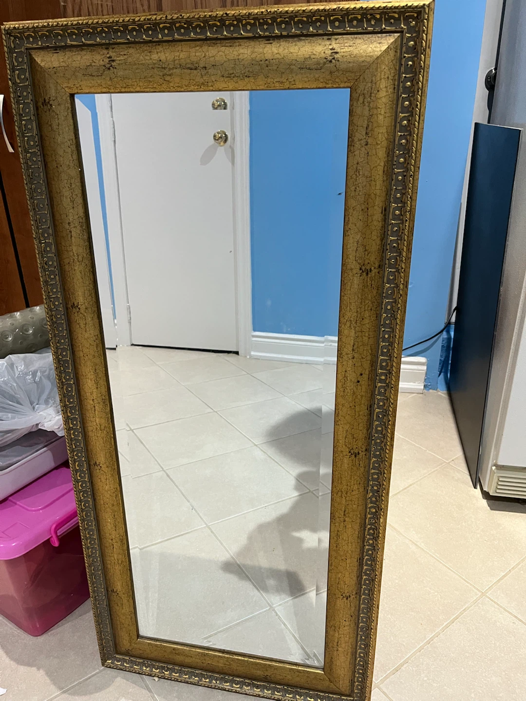 Large Gold Ornate Full Length Mirror