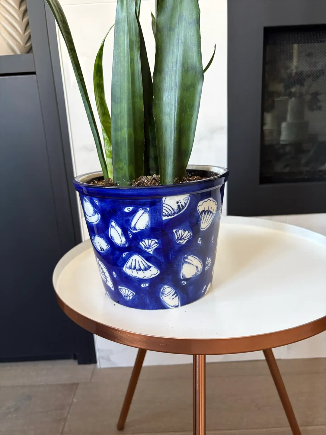 Snake plant potted - photo 3