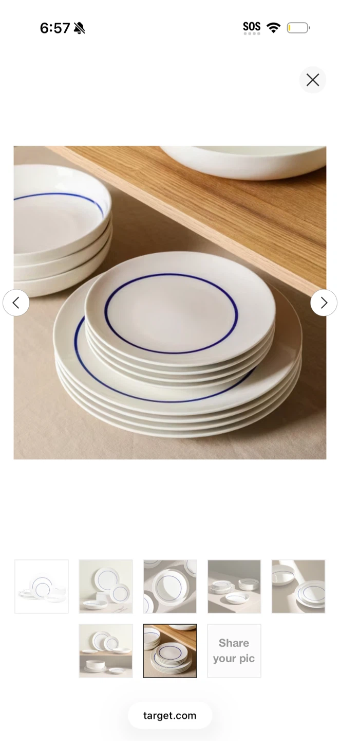 Stone and Lain 12 Piece Blue Rim Dinnerware Set