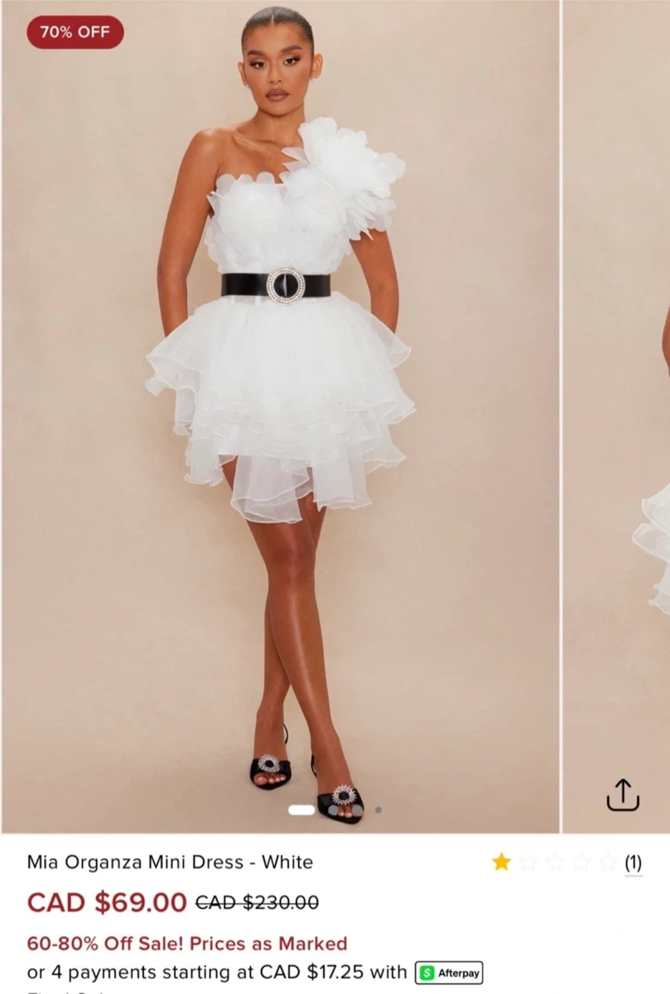 White Swan Organza Costume with feather Hair Clips