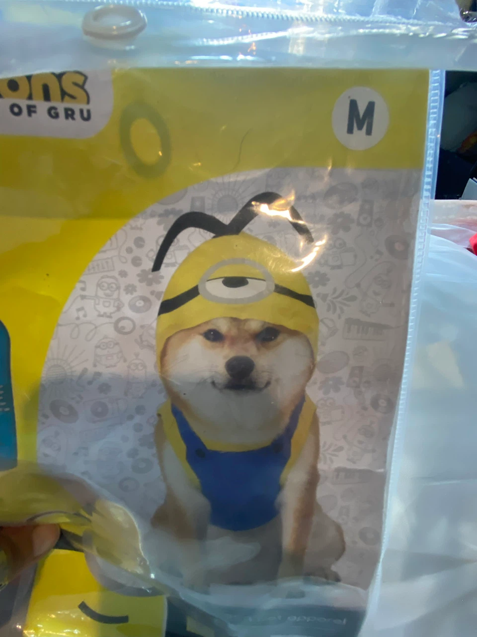 Minions dog costume