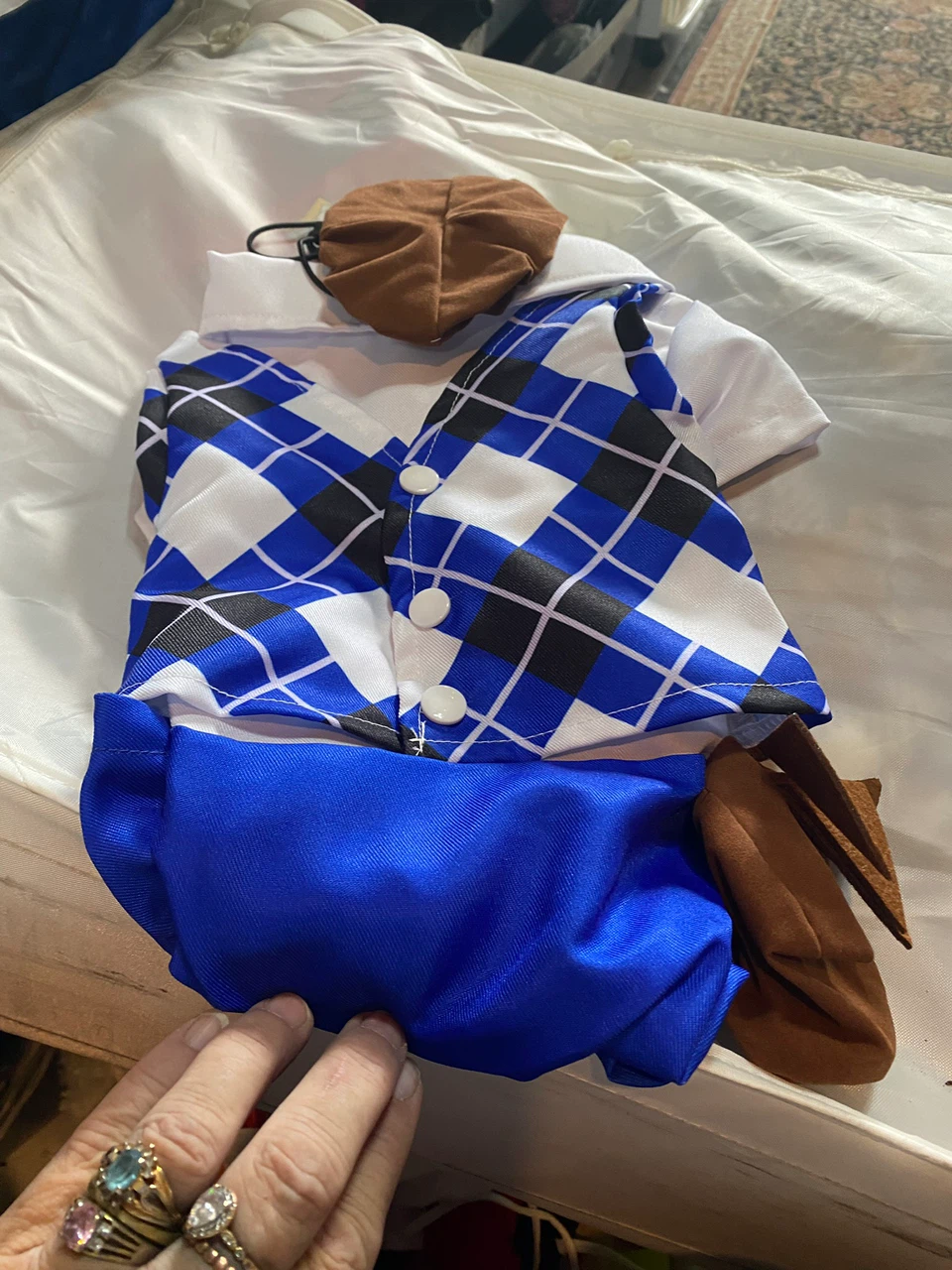 Blue pattern, dog costume