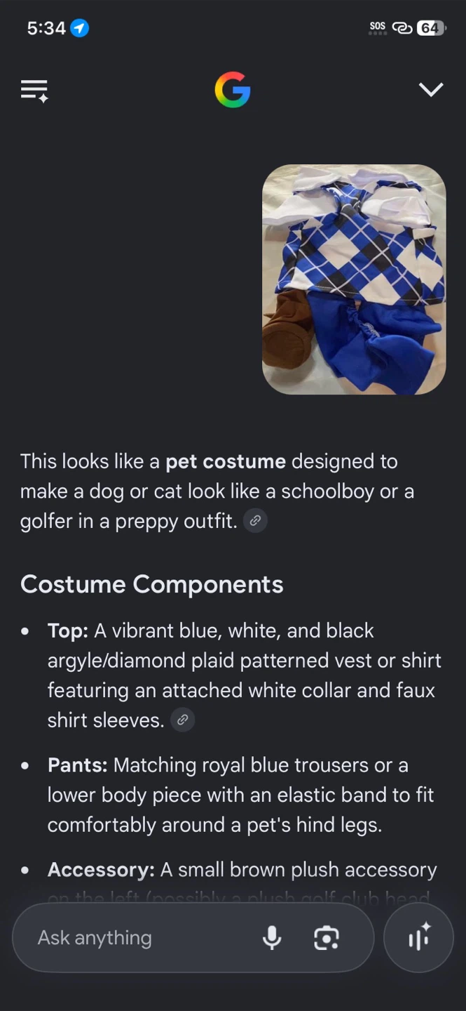 Blue pattern, dog costume - photo 5