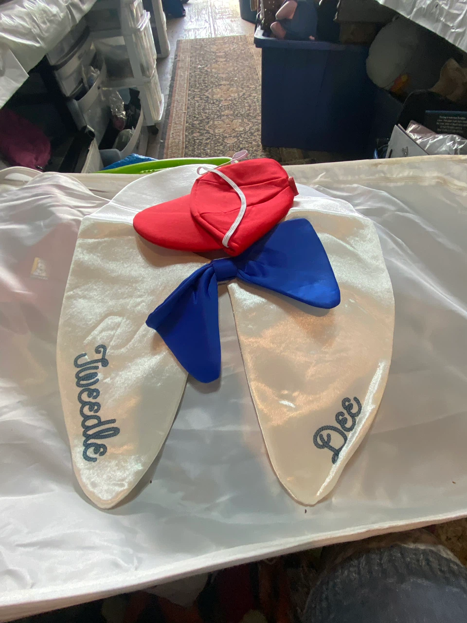 Alison Wonderland dog costume