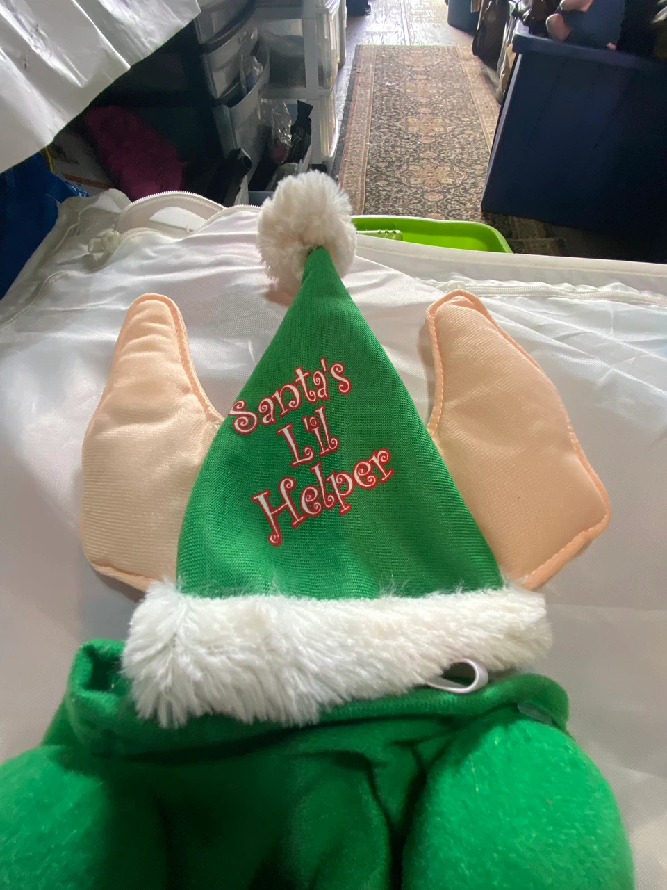 Elf costume dog - photo 2