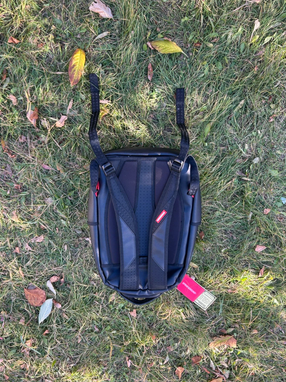 Sprayground Shark Mouth Backpack