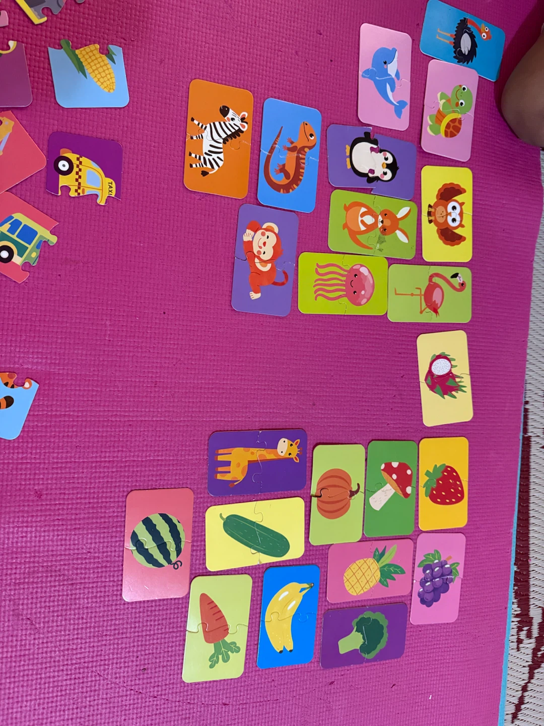 Educational Children Matching Puzzle Set