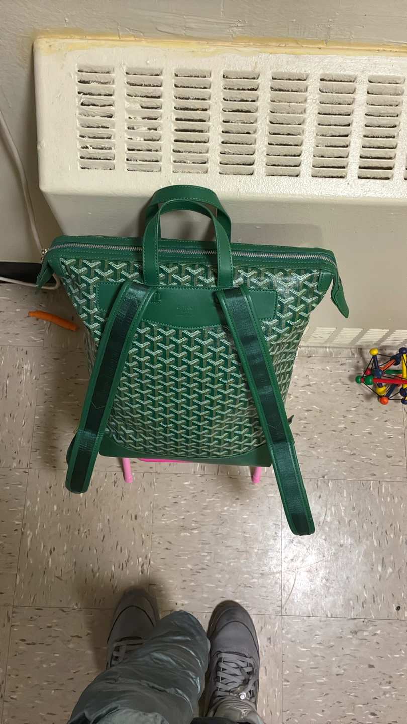 Goyard Green Patterned Backpack