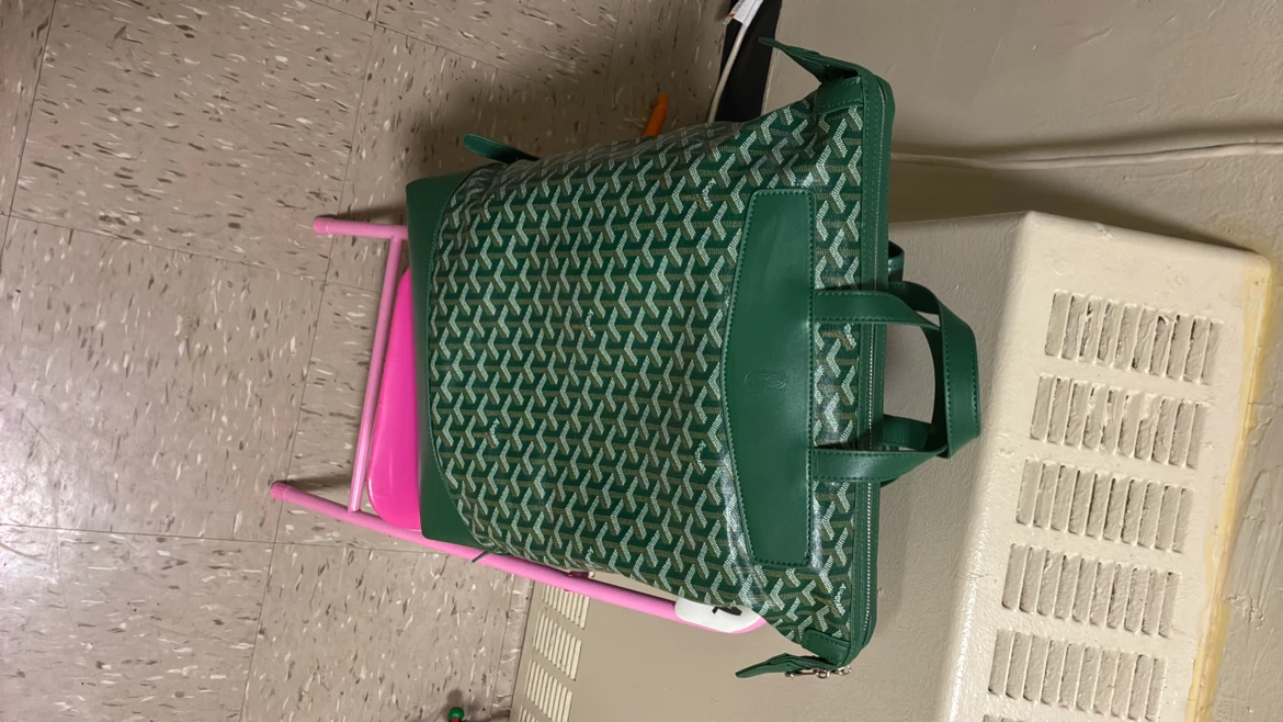 Goyard Green Patterned Backpack - photo 3