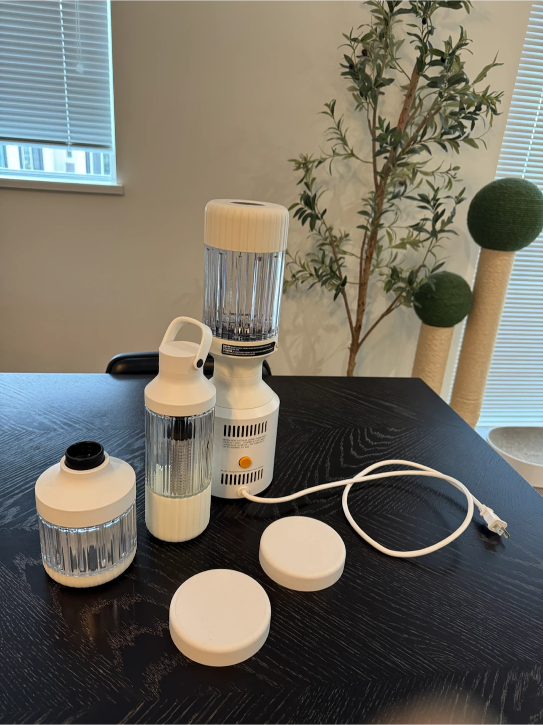 Beast Blender Personal System