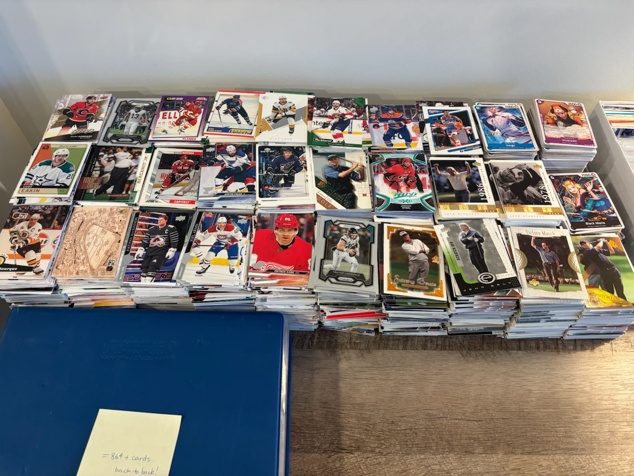 Large Sports Trading Card Collection with Binder - photo 3