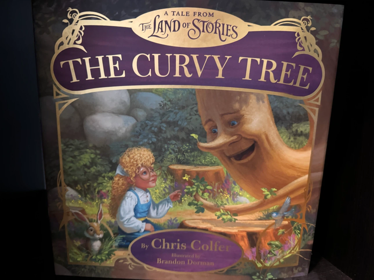Land of Stories companion books by Chris Colfer - photo 3