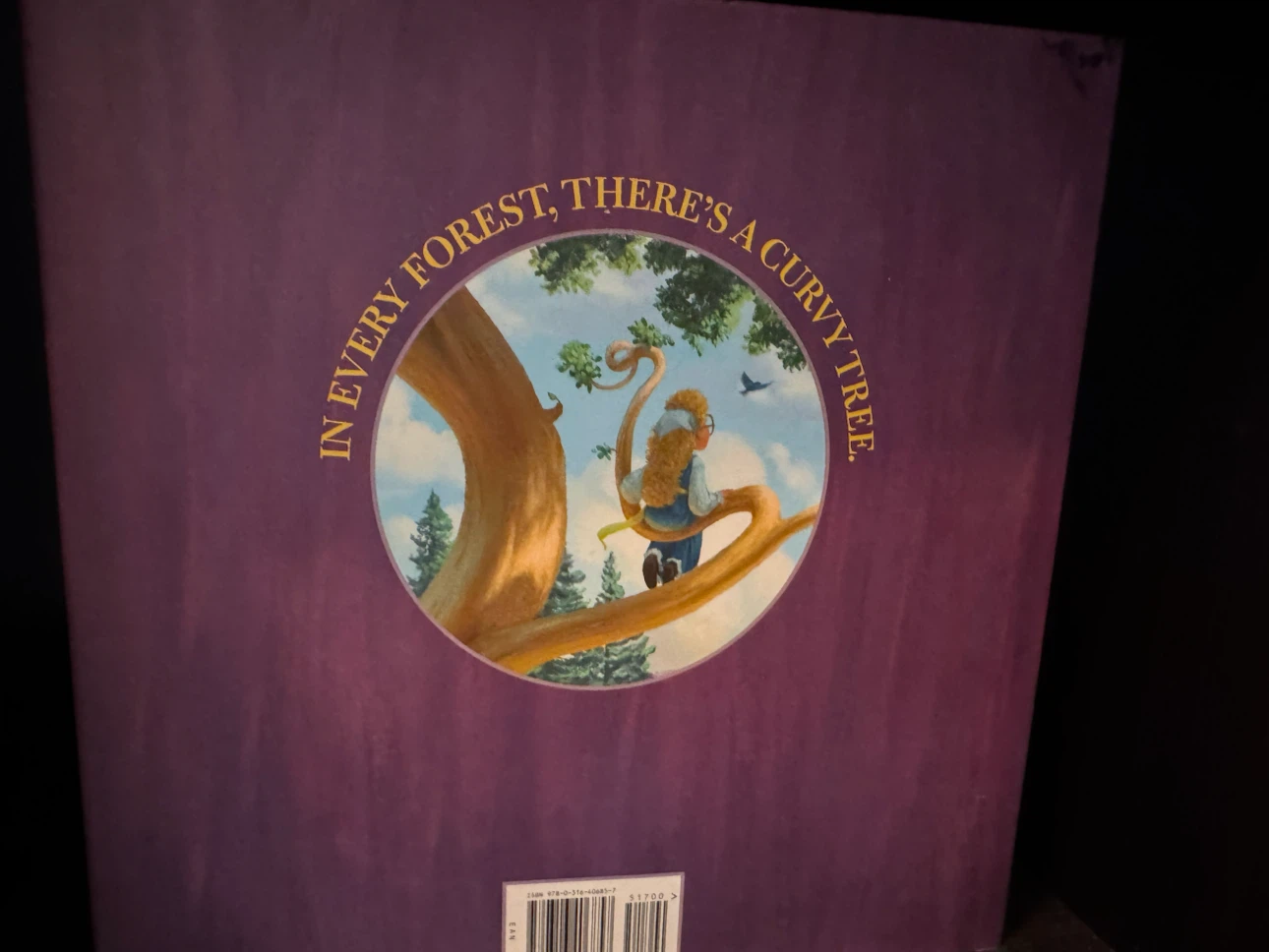 Land of Stories companion books by Chris Colfer - photo 4