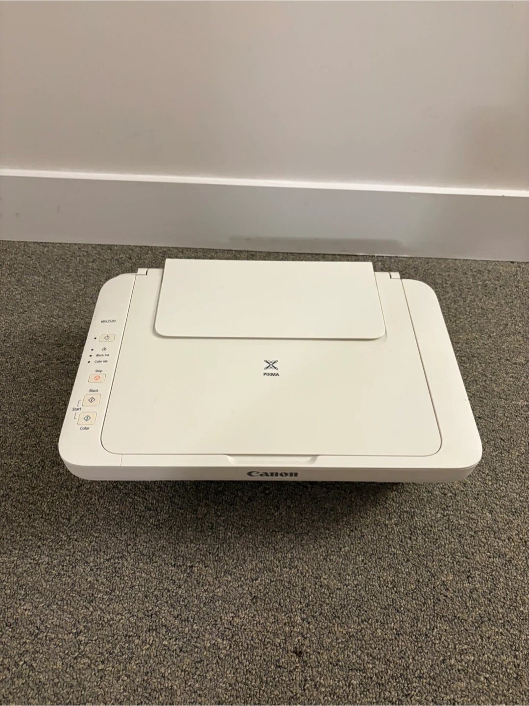Canon PIXMA MG2520 Inkjet Printer