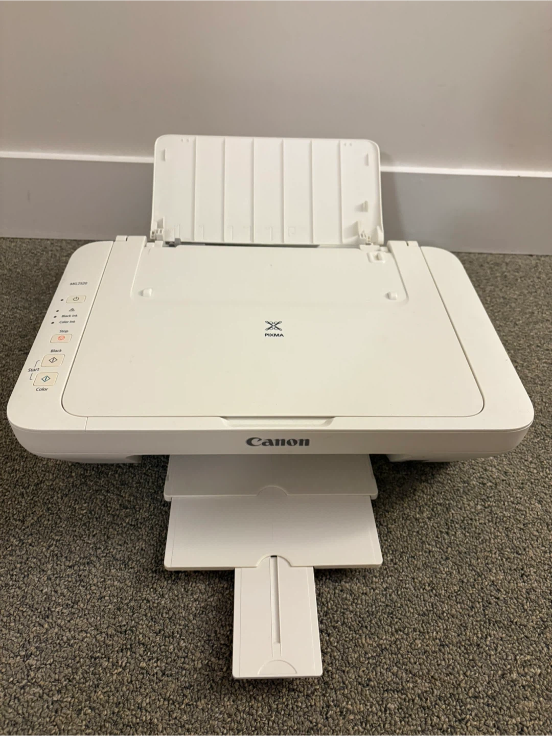 Canon PIXMA MG2520 Inkjet Printer - photo 2