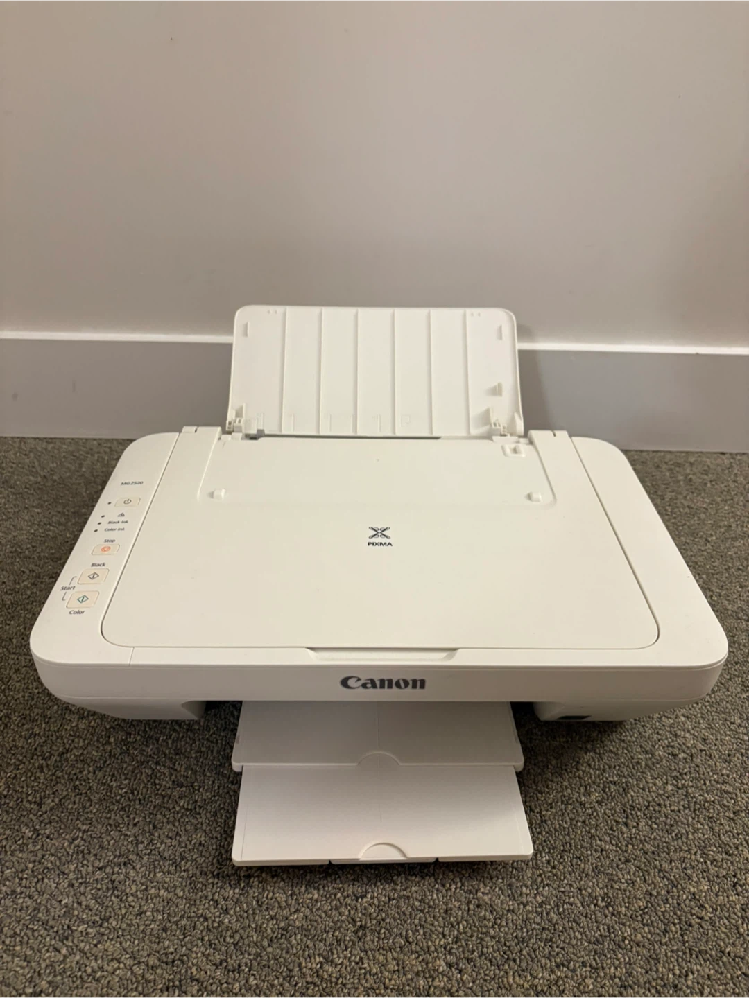 Canon PIXMA MG2520 Inkjet Printer - photo 3