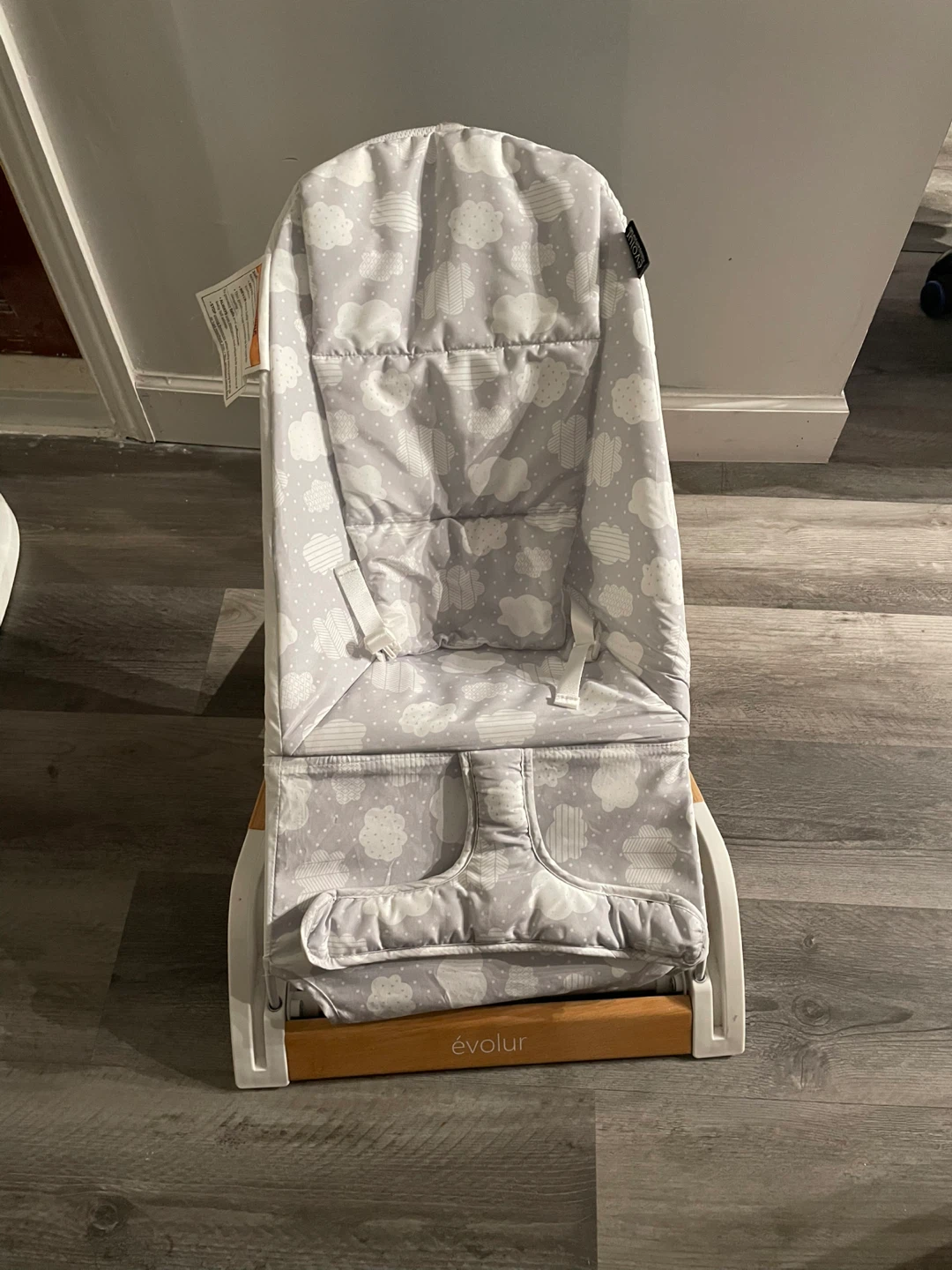 Evolur Baby Bouncer