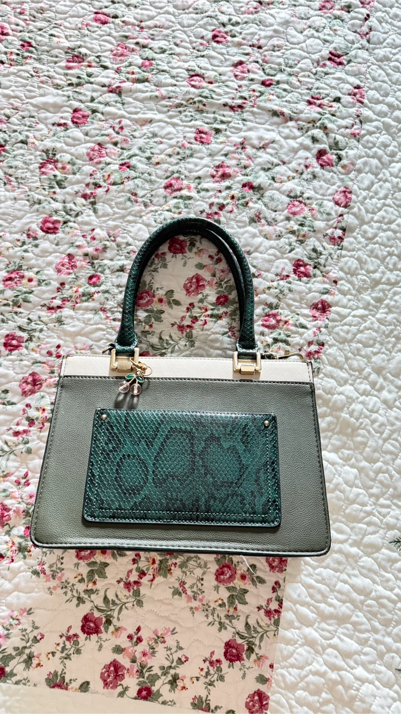 ALDO Multi-Colored Handbag