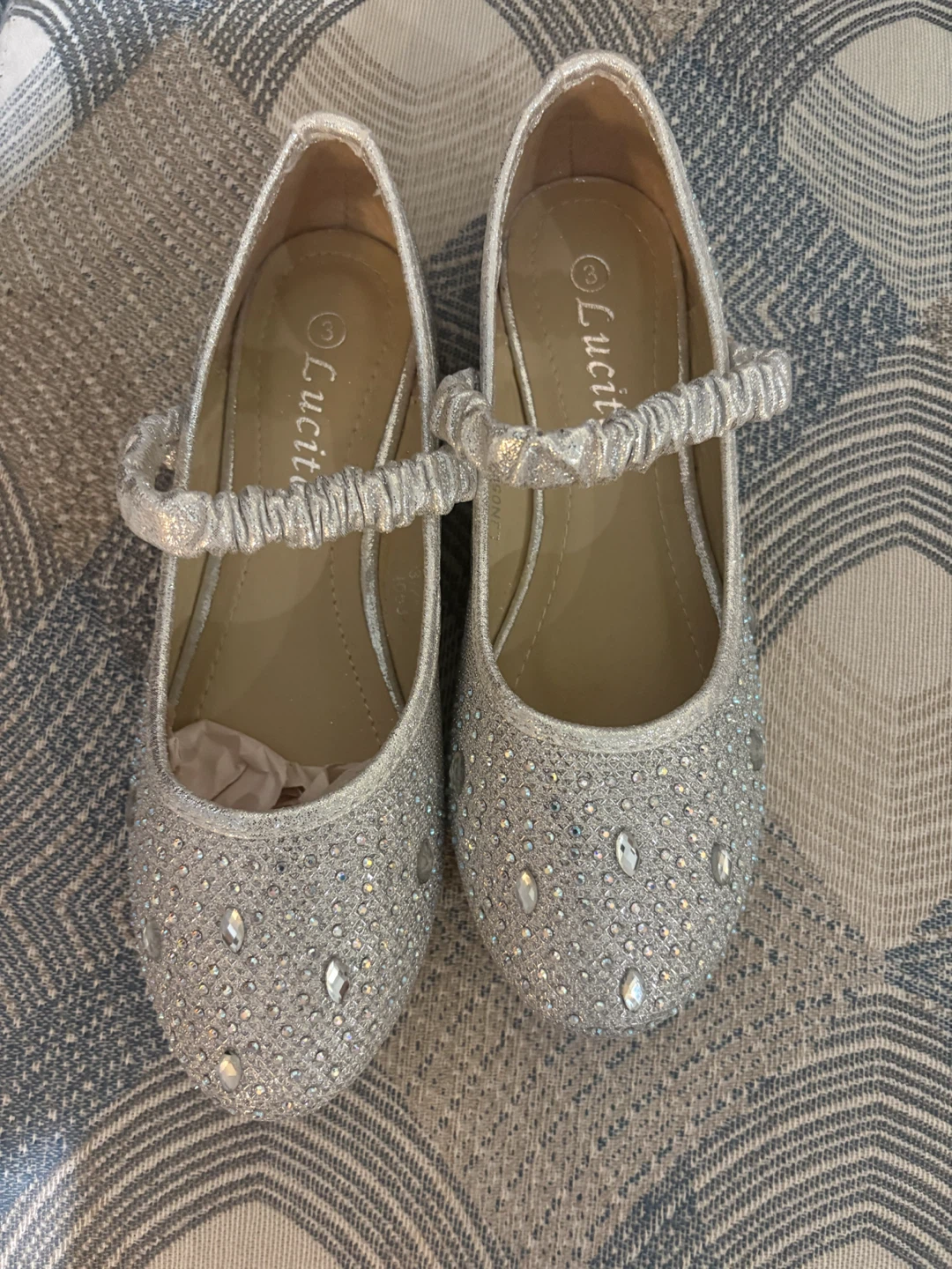 Lucita Silver Sparkly Dress Shoes