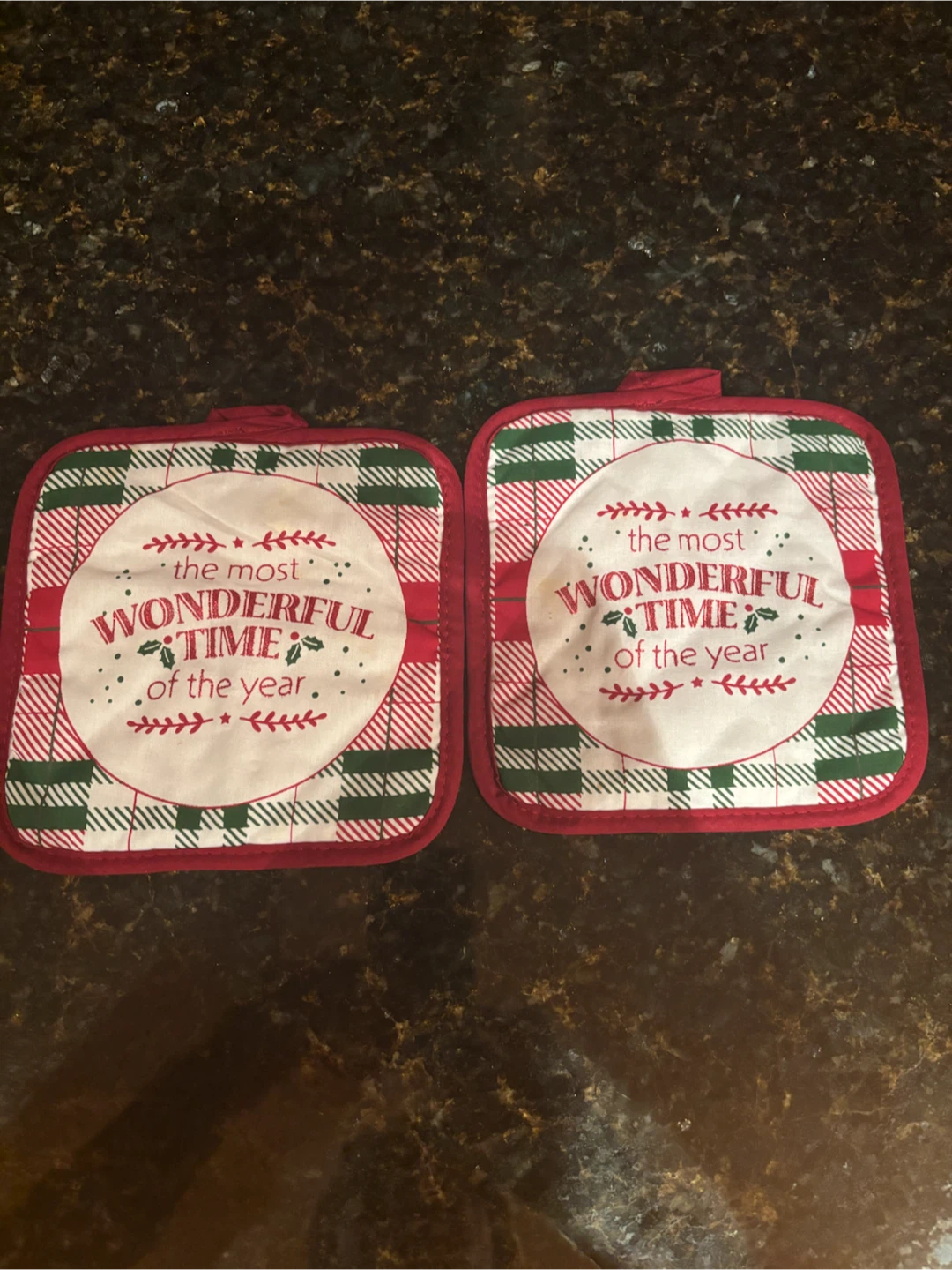 Christmas Themed Pot Holders set of 2