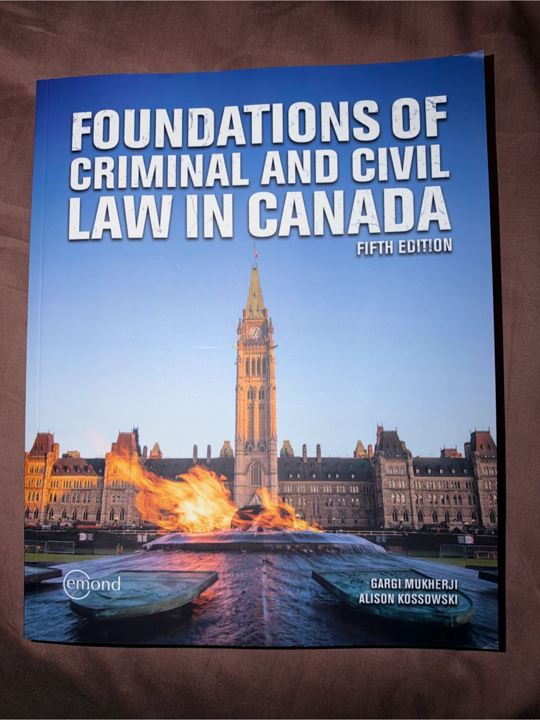 Police Foundation Textbook - photo 5