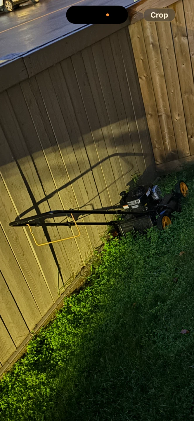 Grass mower for free