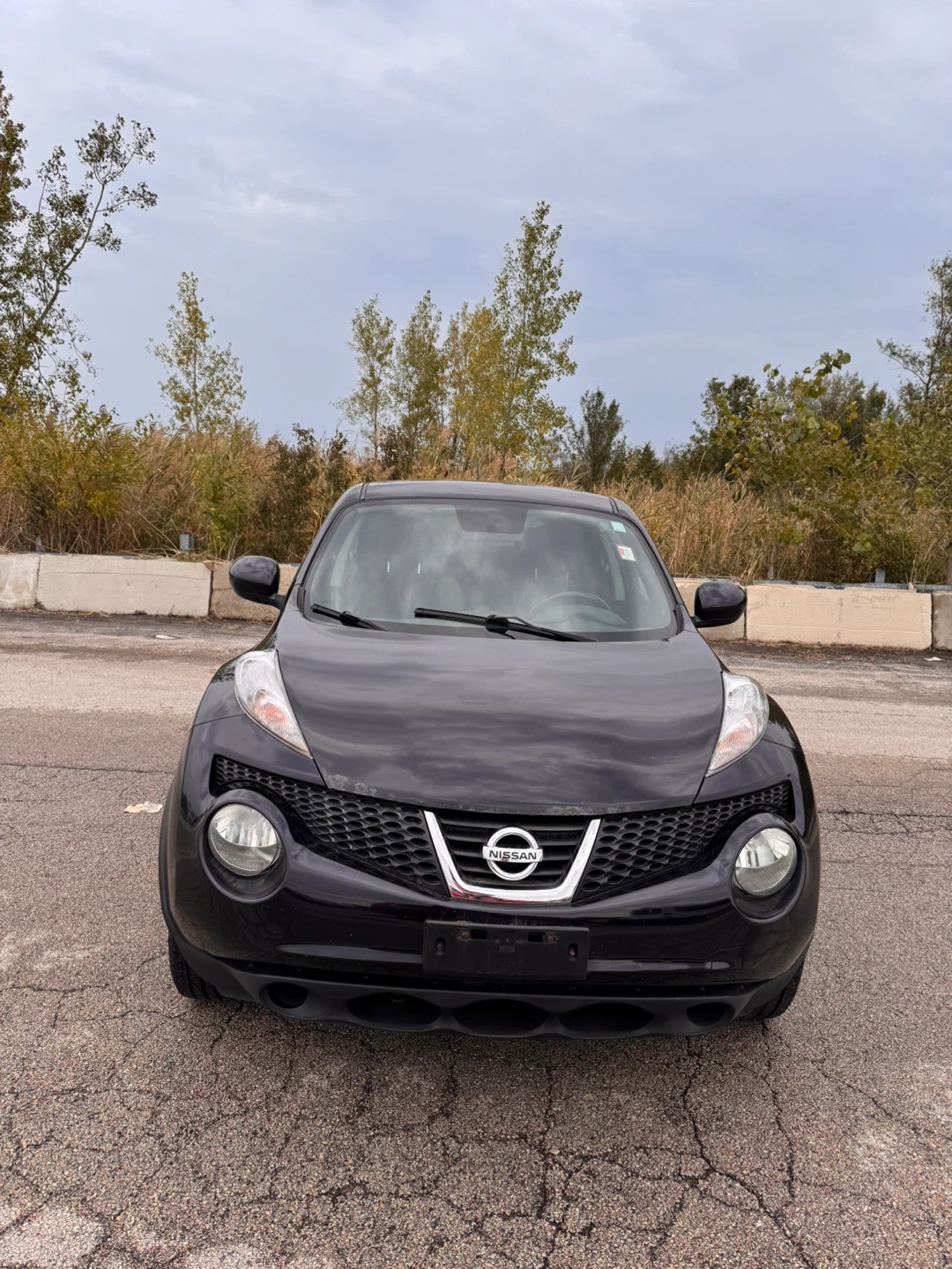 2013 NISSAN JUKE AWD SV - photo 3