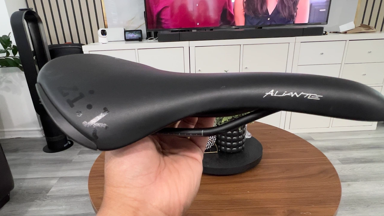 Fizik aliante saddle