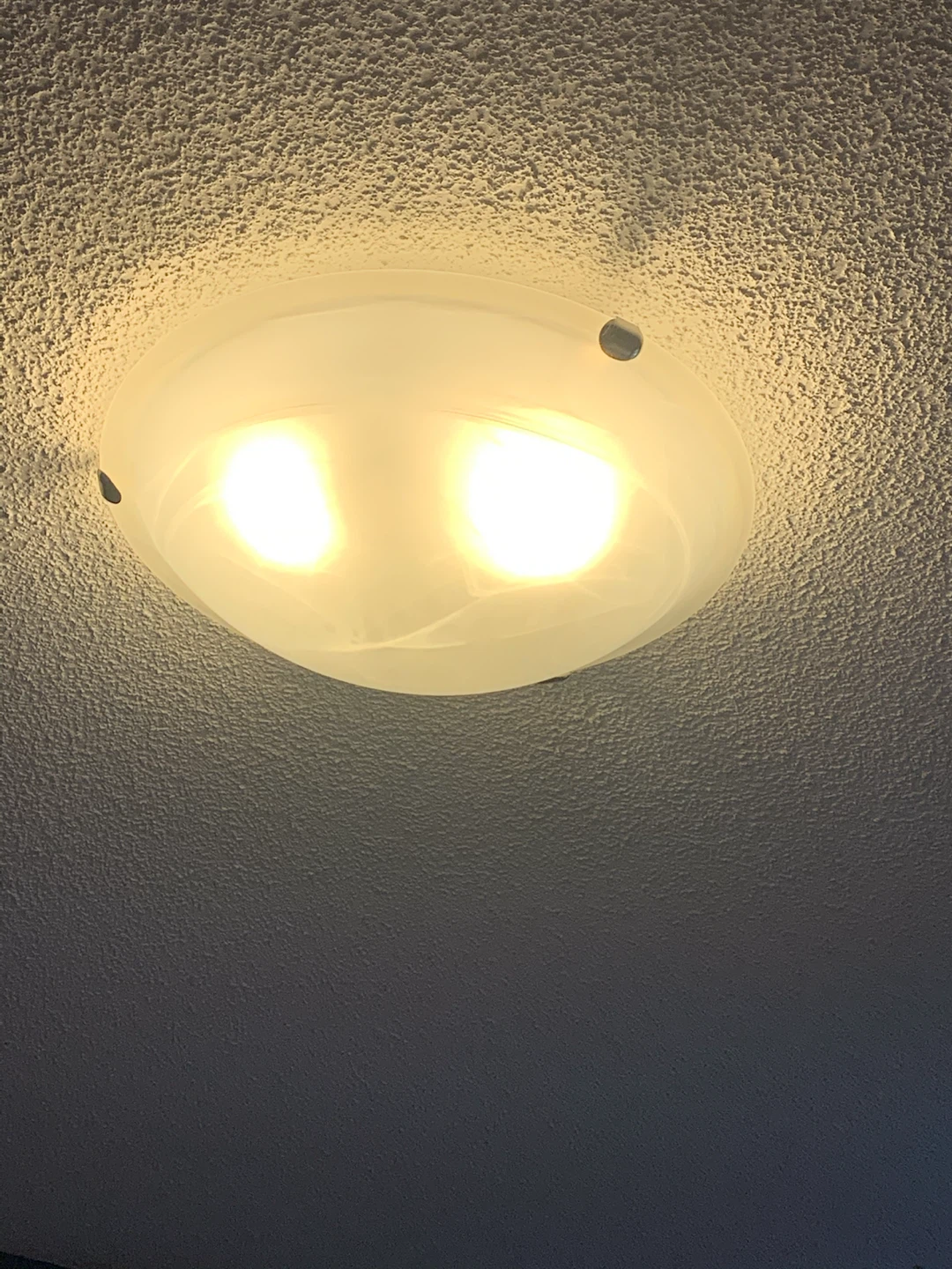 Flush Mount Ceiling Light Fixture