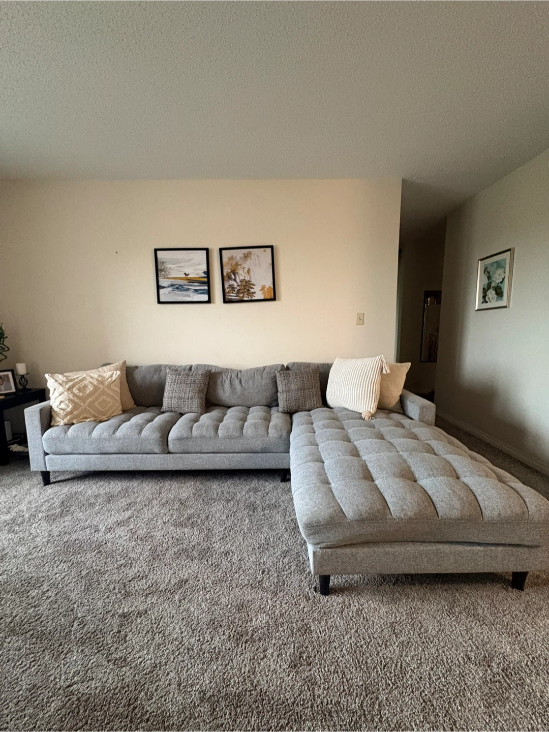 Grey Sectional Sofa with Chaise